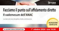 Facciamo il punto sull'affidamento diretto